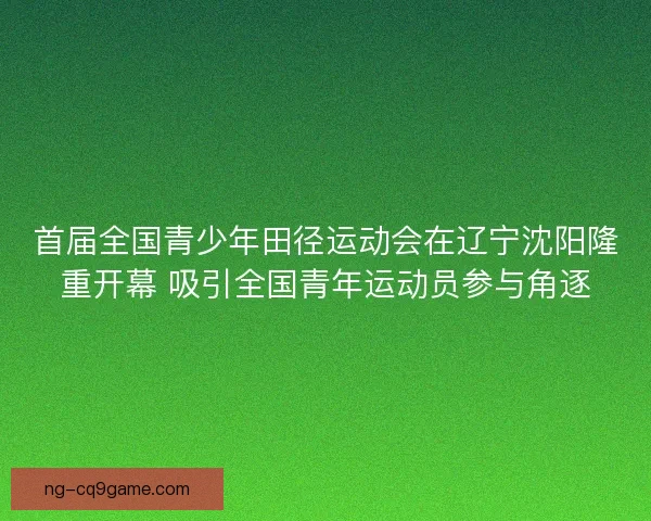 首届全国青少年田径运动会在辽宁沈阳隆重开幕 吸引全国青年运动员参与角逐 首届全国青少年田径运动会在辽宁沈阳隆重开幕 吸引全国青年运动员参与角逐
